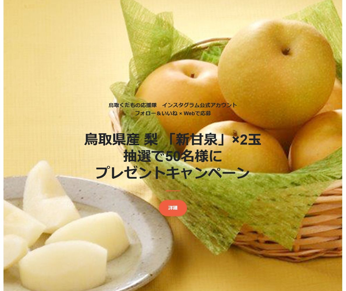 「鳥取県産梨 新甘泉」を50名様にプレゼント【〆切2021年08月31日】 JA全農とっとり