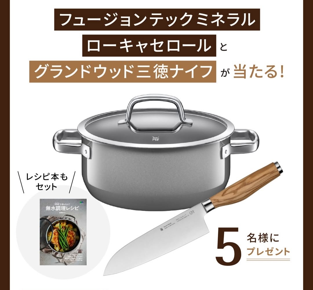 Instagram懸賞】フュージョンテック ミネラル ローキャセロール20cm