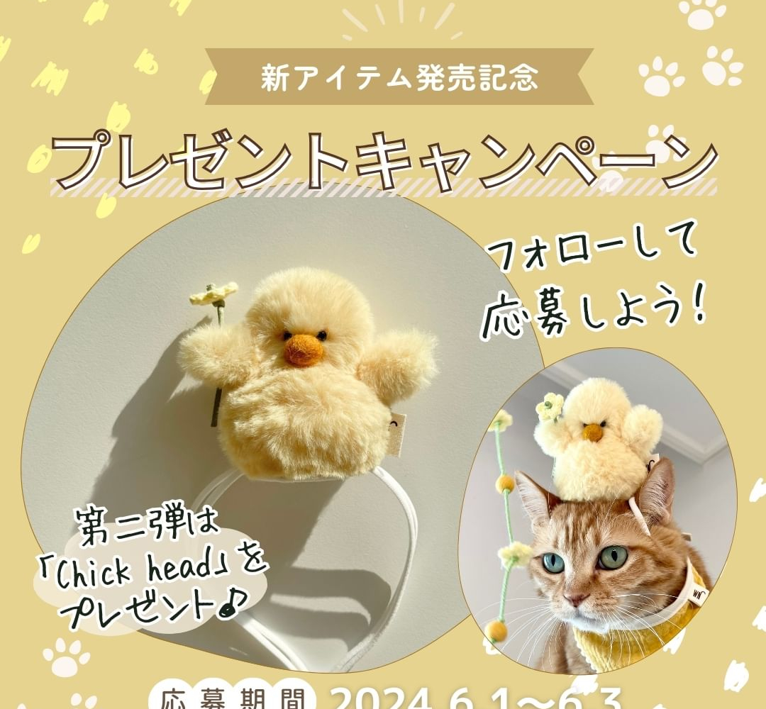 ひよこ様へ専用ページ Instagram懸賞】猫アイテム ひよこのかぶりものを1名様に