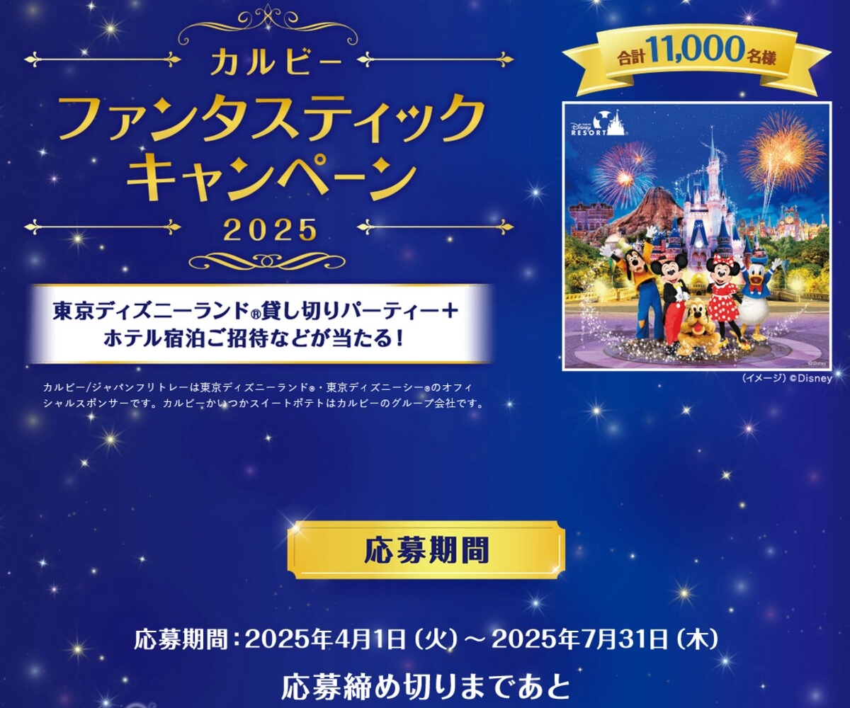 【値下げ！】ディズニーランド 貸切2025 2025】ディズニー貸切イベントに行ってきた！チケット入手方法＆体験談