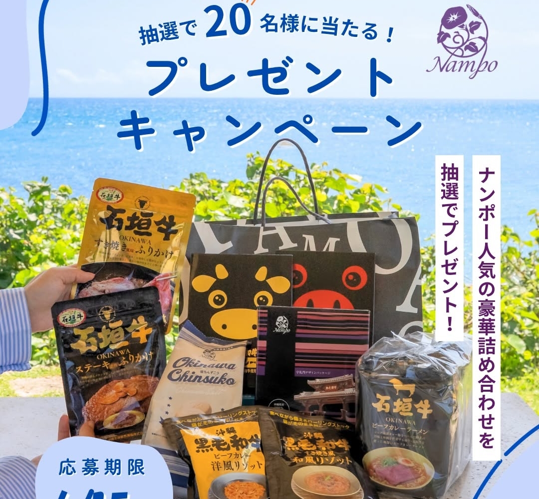 Instagram懸賞】ナンポー商品詰め合わせセット（石垣牛カレーラーメン