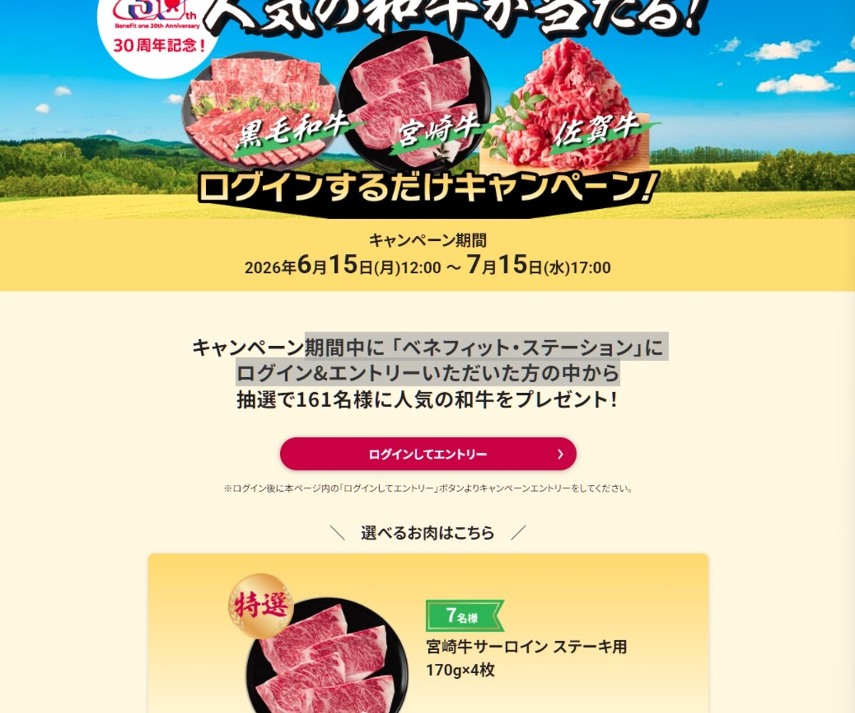 宮崎牛サーロインステーキ用（170g×4枚） 国産黒毛和牛 焼肉用（バラ