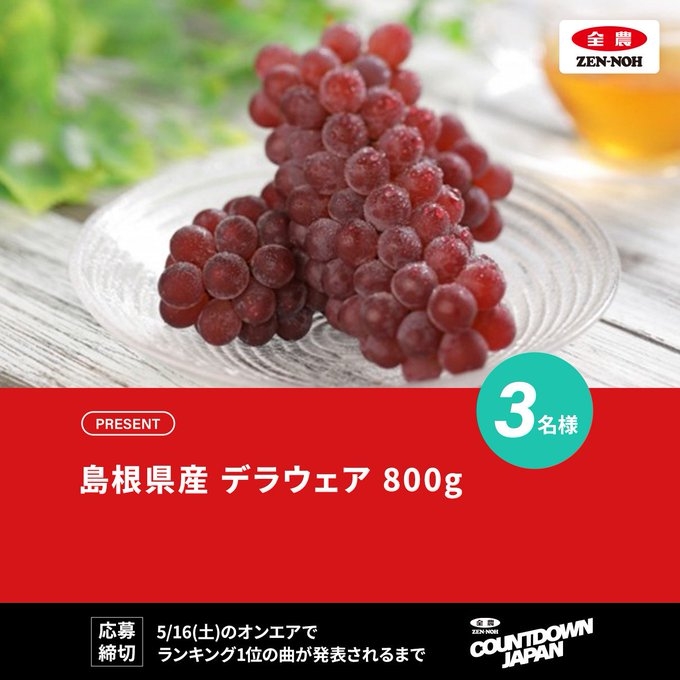 X懸賞(Twitter懸賞)】島根県産 デラウェア800gを3名様にプレゼント【〆