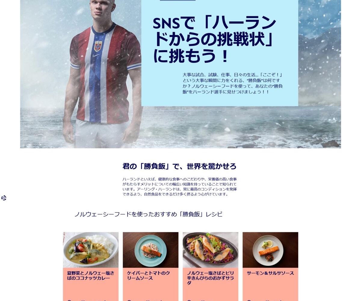 X懸賞(Twitter懸賞)】ハーランド選手 直筆サイン入りユニフォーム 北欧