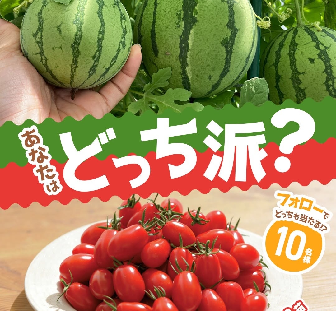 Instagram懸賞】ミニトマト「純あま」2苗＆スイカ「甘小丸スイカ」2苗