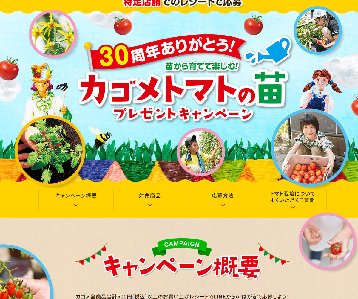 トマト苗 いずれかの品種（こあまちゃん2苗セット・高リコピントマト2苗セット・凛々子2苗セット） カゴメ商品詰め合わせ  (1000円分)を500名様にプレゼント【〆切2025年04月27日】 カゴメ