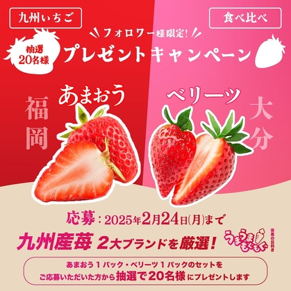 【Instagram懸賞】「福岡県産 博多あまおう」＆「大分県産 ベリーツ」食べ比べセットを20名様にプレゼント ｜ 懸賞生活