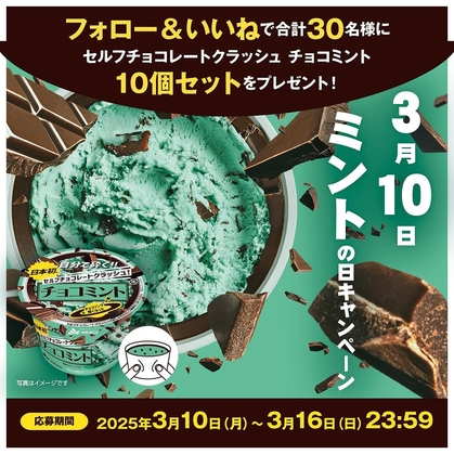 Instagram懸賞】セルフチョコレートクラッシュ！チョコミントアイス10