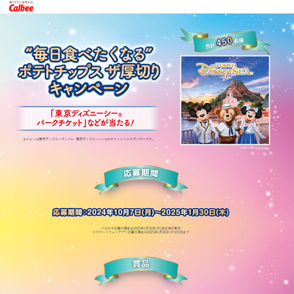 テーマパーク 1DAY ペアチケットディズニーランド、ディズニー