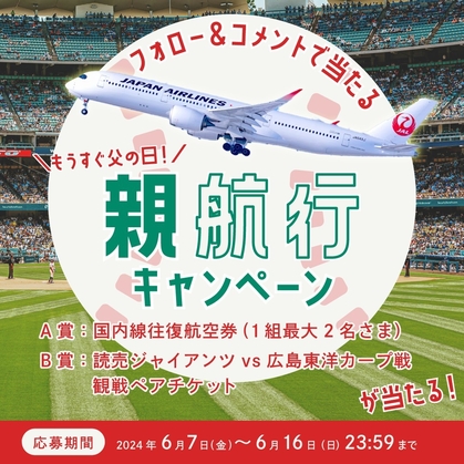 Instagram懸賞】国内線ペア往復航空券 読売ジャイアンツ vs 広島