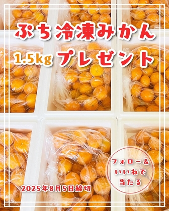 ぷち美柑 2枚 ぷちヤミ 4枚 PR プロモ 八ちゃん堂 ひとくち不知火（300g） 送料込み 冷凍みかん 九州産