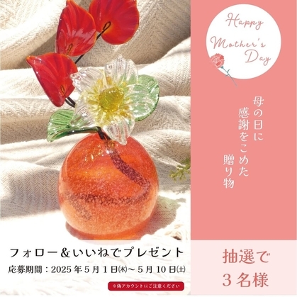 【Instagram懸賞】泡花一輪花セットを3名様にプレゼント ｜ 懸賞生活