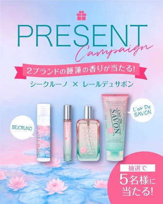 ソンデュボー600ST 2箱 【公式通販】 【エルセーヌ】ソン デュ