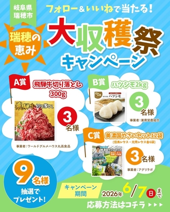飛騨牛切り落とし300g　ハツシモ2kg　美濃国産やさいセット12袋
