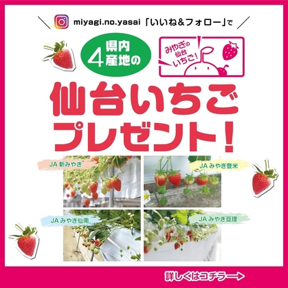 【Instagram懸賞】仙台いちごを100名様にプレゼント ｜ 懸賞生活