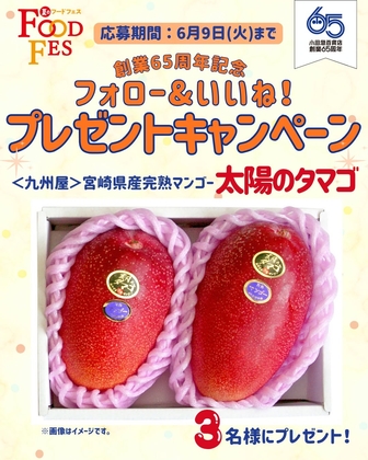 宮崎県産完熟マンゴー「太陽のタマゴ」2個入 2Lサイズ1箱