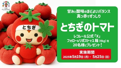 栃木県産 トマト4kgを20名様にプレゼント ｜ 懸賞生活