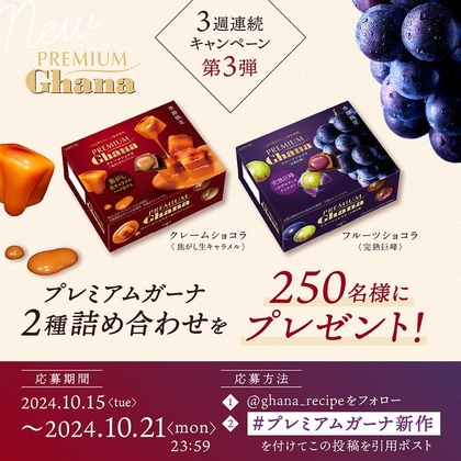 X懸賞(Twitter懸賞)】プレミアムガーナ 2種詰め合わせを250名様に