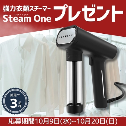 スチームワン(SteamOne) 衣類スチーマー steamone衣類スチーマー