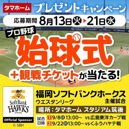 ホークスセット エンデヴァー＆ホークス コンビセット 「僕のヒーロー