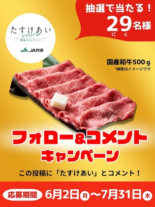 懸賞品】ふつうの軽音部 ちっこいアクスタセット