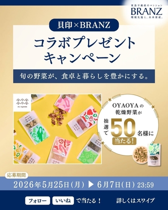 OYAOYA 乾燥野菜 15種セット　10種セット　5種セット