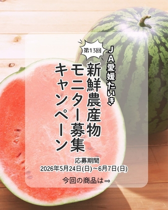 JA愛媛たいき「エコラブスイカ」（2Lサイズ1玉・みきゃん箱入り）