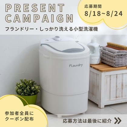 DAIYA 少量 ポータブル洗濯機”フランドリーE-101 洗濯能力3.0kg