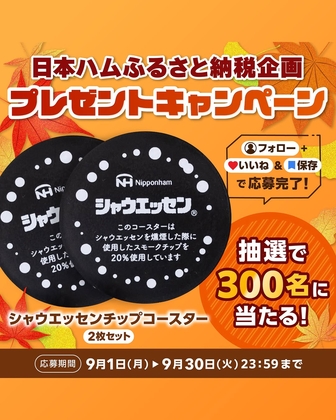 コムドットチップス　2箱 人気YouTuber「コムドット」とコラボした『コムドットチップス2