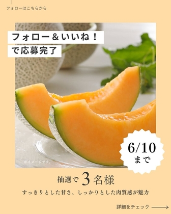 JAふらの 富良野メロンプレミアム 特秀約2kg×1玉