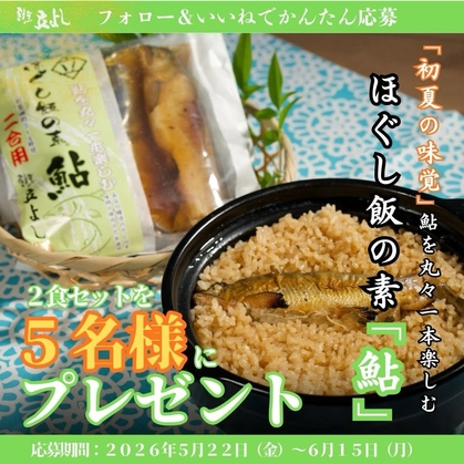 「ほぐし飯の素 鮎」2食セット
