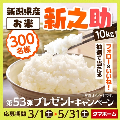 米10キロ Instagram懸賞】新潟県産お米「新之助」10kgを300名様に