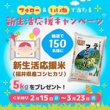 [受付終了]令和6年福井県産コシヒカリ30キロ Instagram懸賞】福井県産コシヒカリ5kgを150名様にプレゼント【〆切
