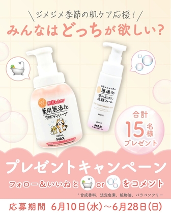 X懸賞(Twitter懸賞)】ピカチュウぬいぐるみ メタモンぬいぐるみ