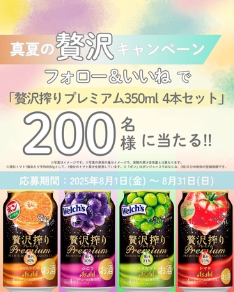 激レア‼【未使用】 べるーにゃ✖吉野家オリジナル丼ぶり&レンゲセット 激レア‼【未使用】 べるーにゃ✖吉野家オリジナル丼ぶり&レンゲ