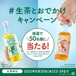 p46e75ac3c8c0246fb839474807d62