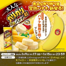 Instagram懸賞】ガリガリ君オリジナルバナナ型抱き枕を2名様に