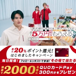 QUOカードPay300円分
