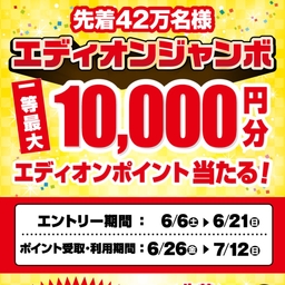 【先着】エディオンポイント1万円分　500円分　300円分　100円分
