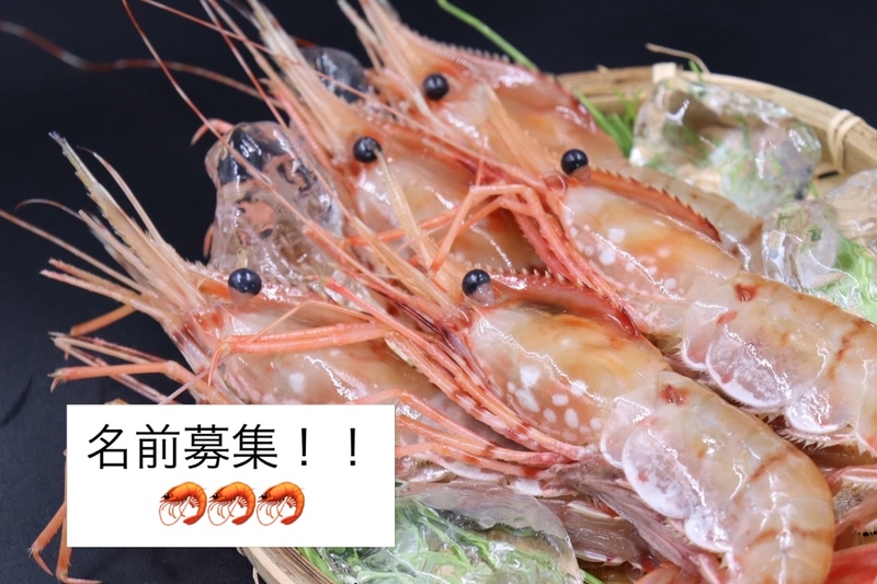ボタンエビ　fishdoor商品