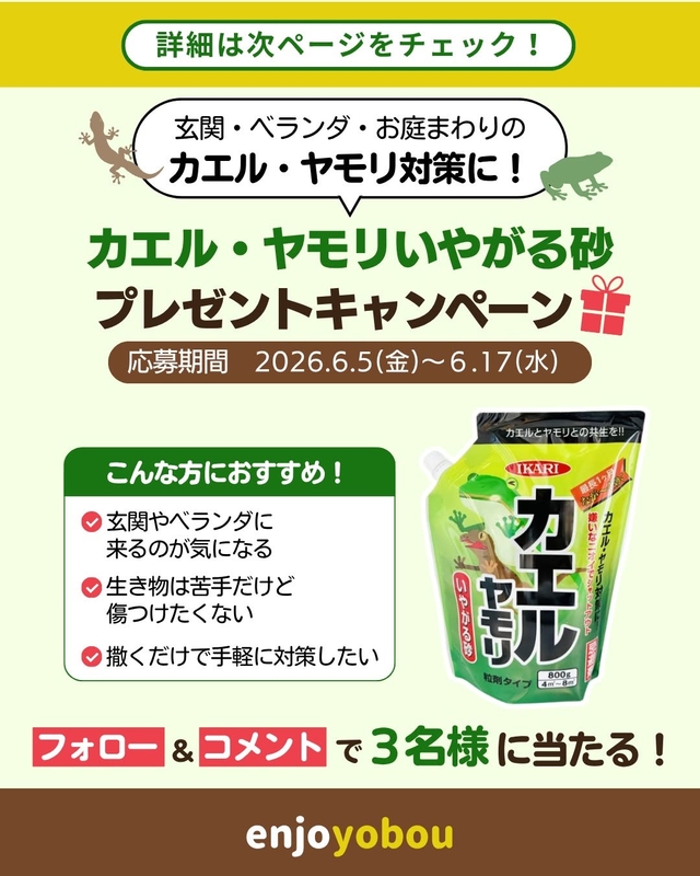 カエル・ヤモリいやがる砂