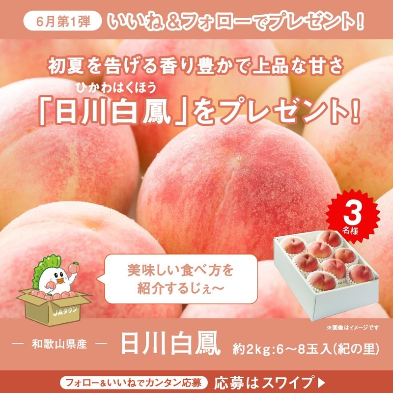 和歌山県産 桃「日川白鳳」約2kg（6～8玉入）