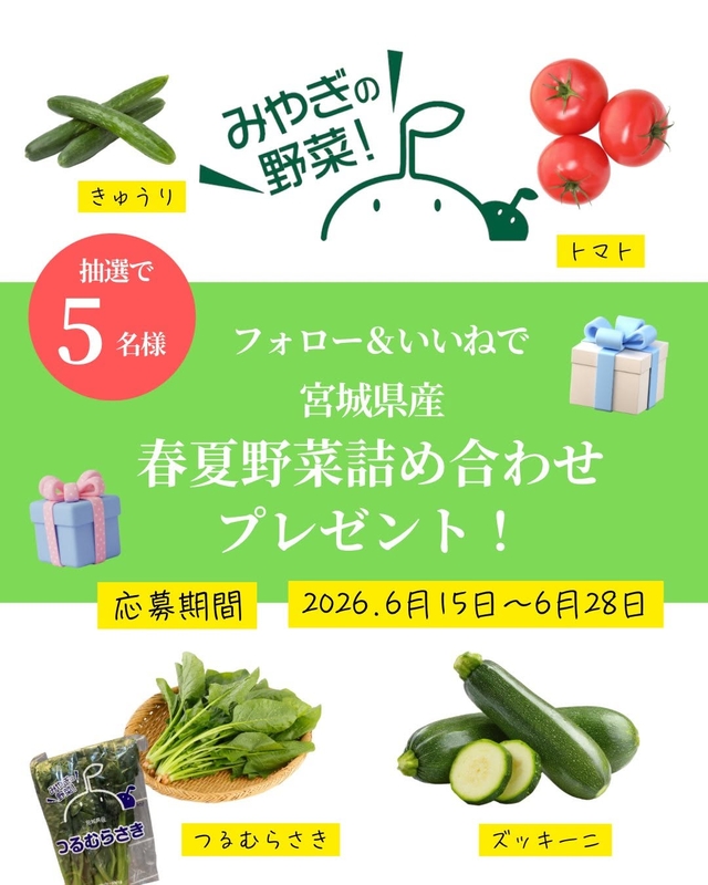 宮城県産 春夏野菜詰め合わせ