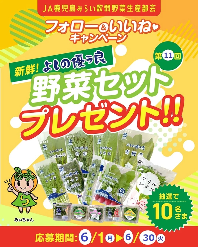 よしの優ラ良 野菜セット