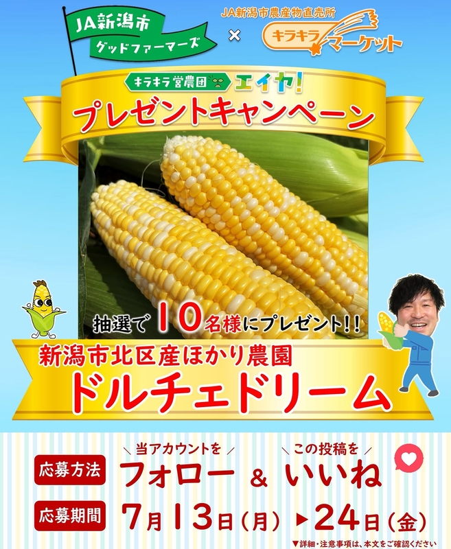 とうもろこし「ドルチェドリーム」5本セット