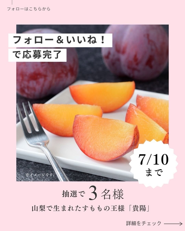 山梨県産 すもも（貴陽）約1.7kg