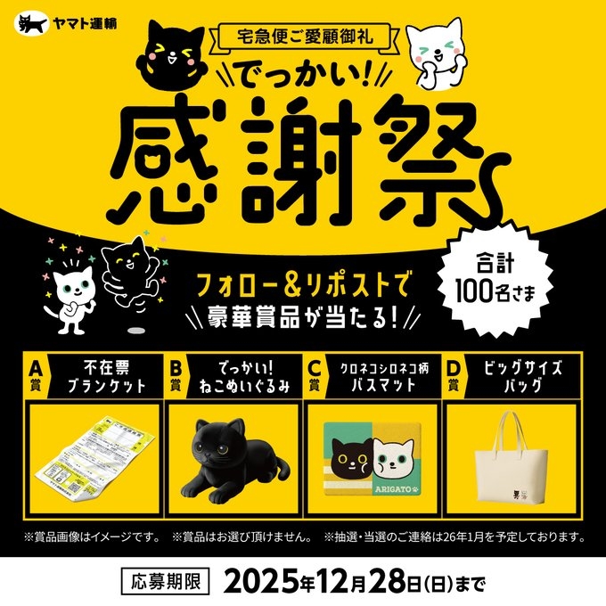 X懸賞(Twitter懸賞)】不在票ブランケット でっかい！ねこぬいぐるみ