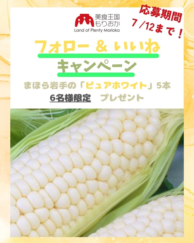 とうもろこし「ピュアホワイト」5本