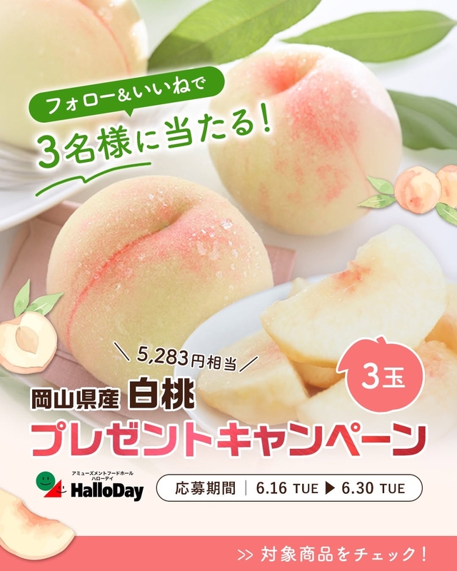 岡山県産 白桃（5283円相当）