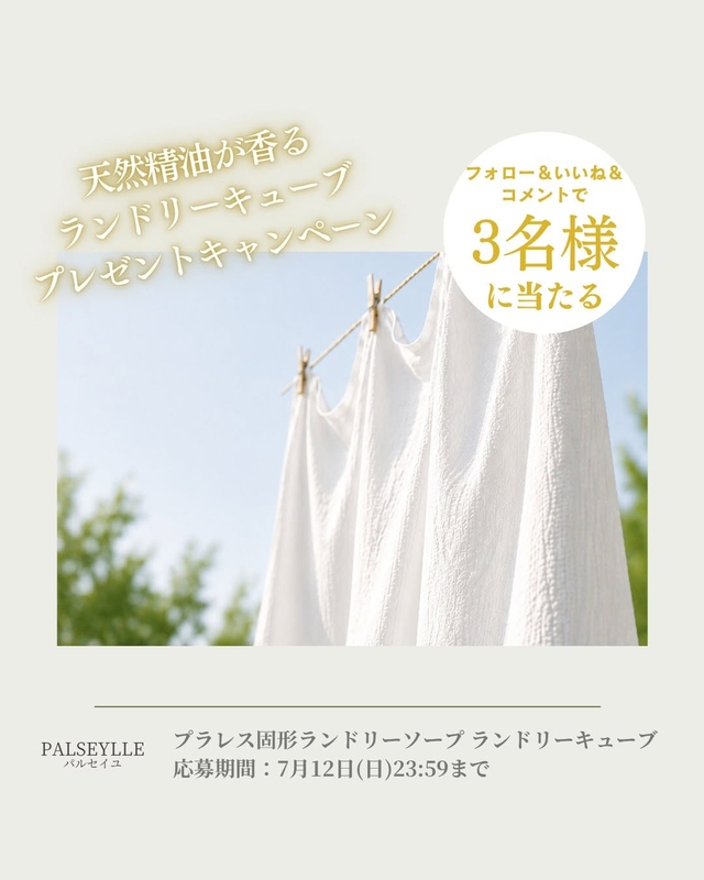 プラレス固形ランドリーソープ96ｇ(4g×24個)